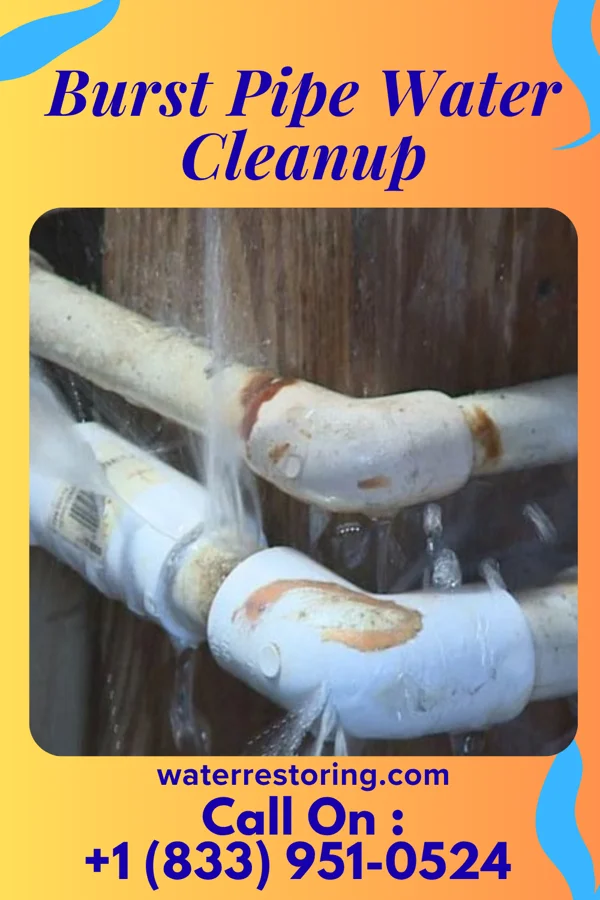 Burst Pipe Water Cleanup in Gary, SD