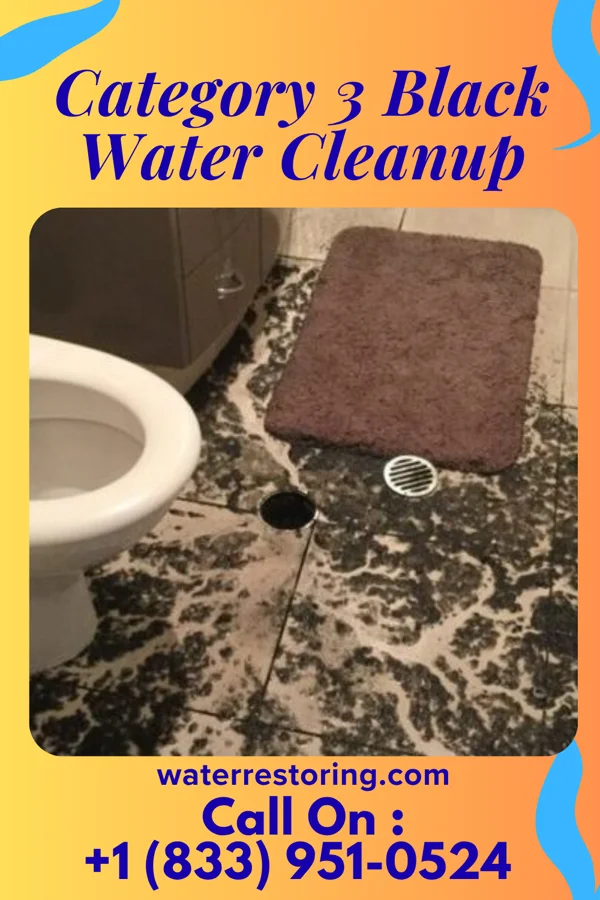 Category 3 Black Water Cleanup in Gary, SD