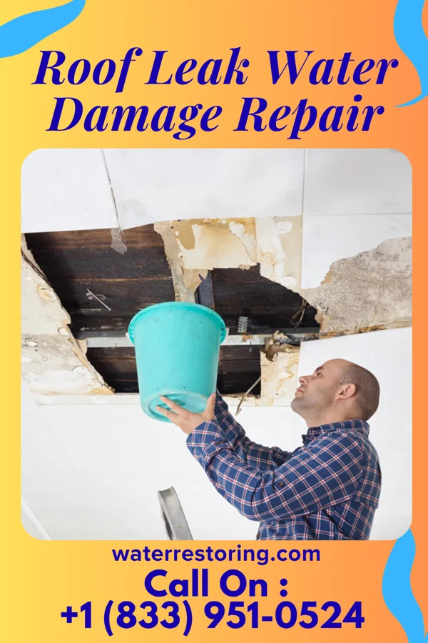 Roof Leak Water Damage Repair in Gary, SD